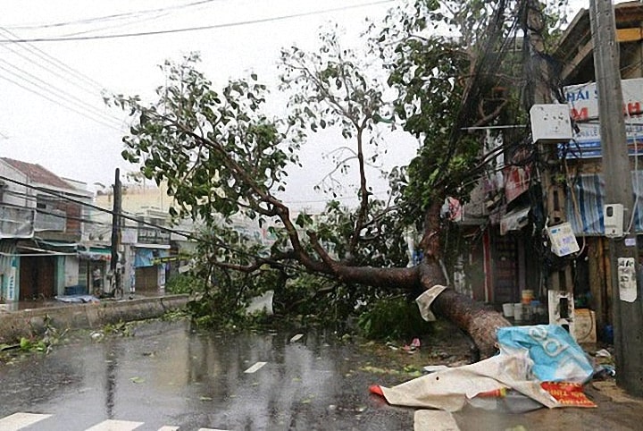 Bão Damrey làm đổ cây trên đường, những căn nhà bị tốc mái