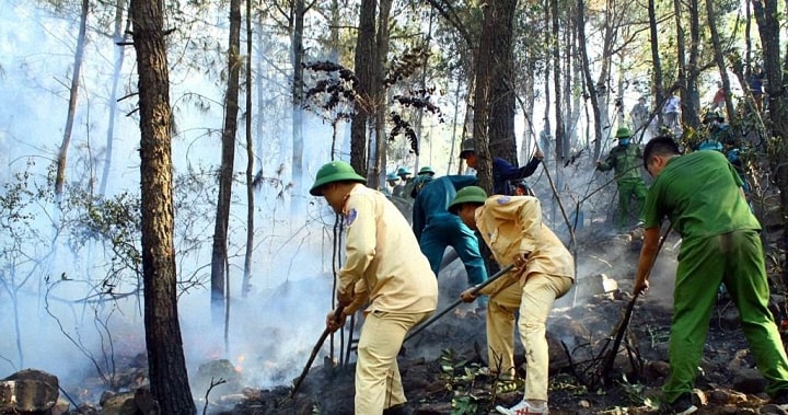 Các phượng tiện chống cháy rừng còn thô sơ và kém hiệu quả